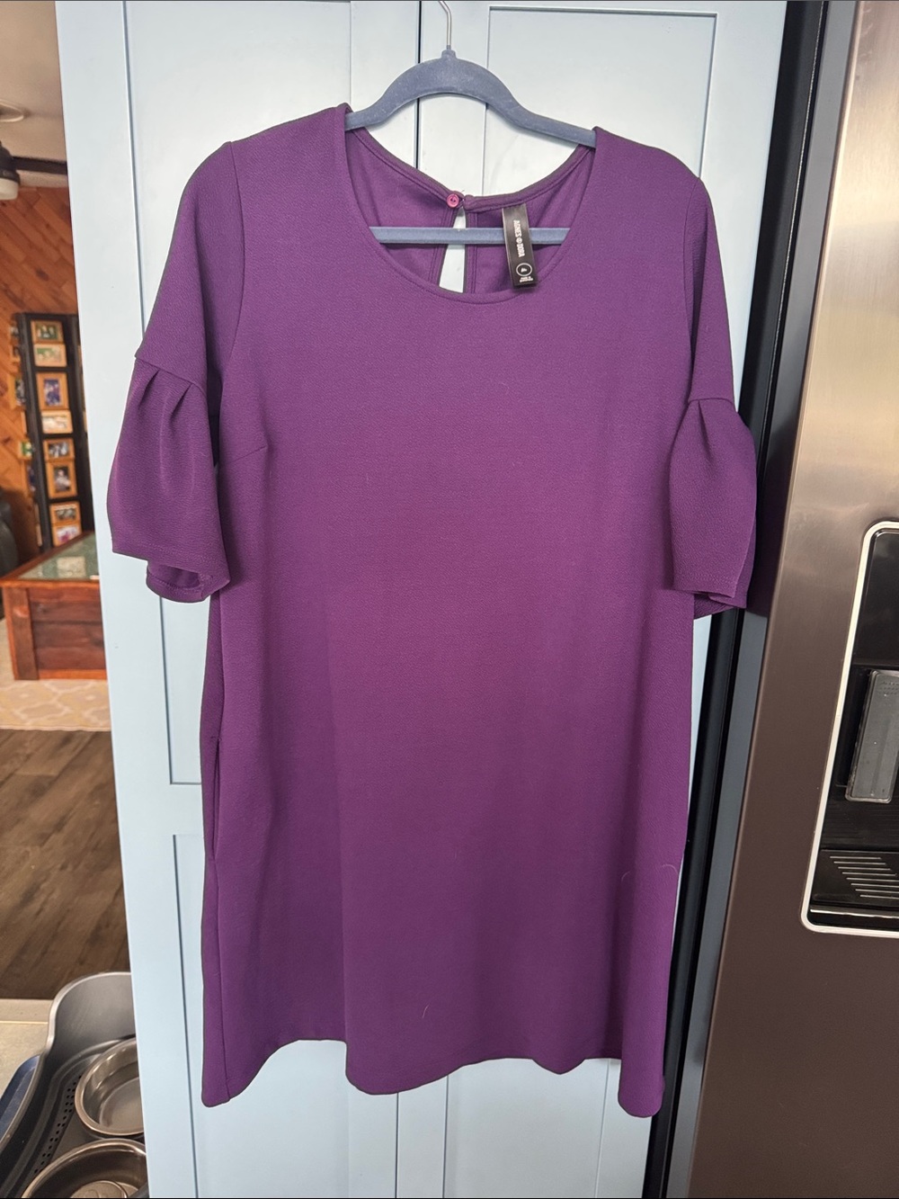 Agnes & Dora Plum Shift Dress with Short Ruffle Sleeves